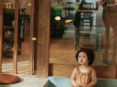 Green trees seen through a large clean window